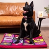 Picture of DC Comics Wonder Woman dog mattress